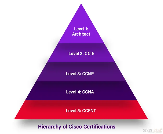 Hierarchy of Cisco Certifications