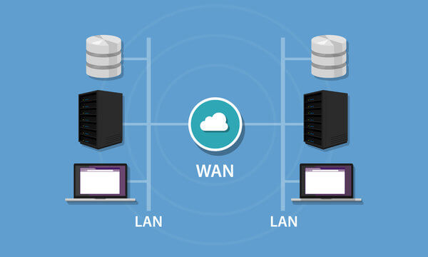 LAN, MAN, and WAN